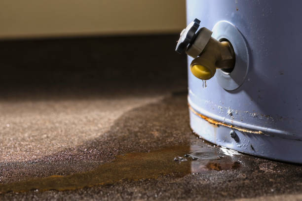 Best Carpet water damage restoration  in Dayton, OH