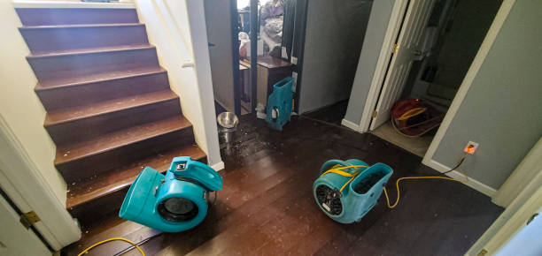 Best Flood damage cleanup  in Dayton, OH