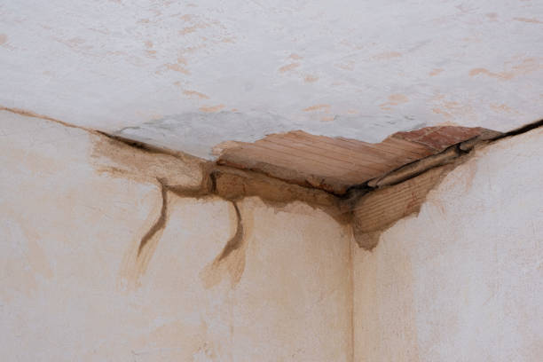Best Ceiling water damage repair  in Dayton, OH