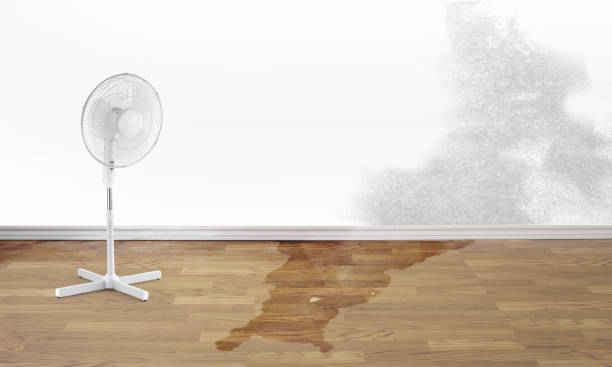 Reliable Dayton, OH Water damage restoration Solutions