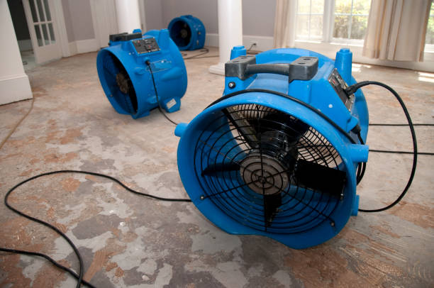 Trusted Dayton, OH Water damage restoration Experts