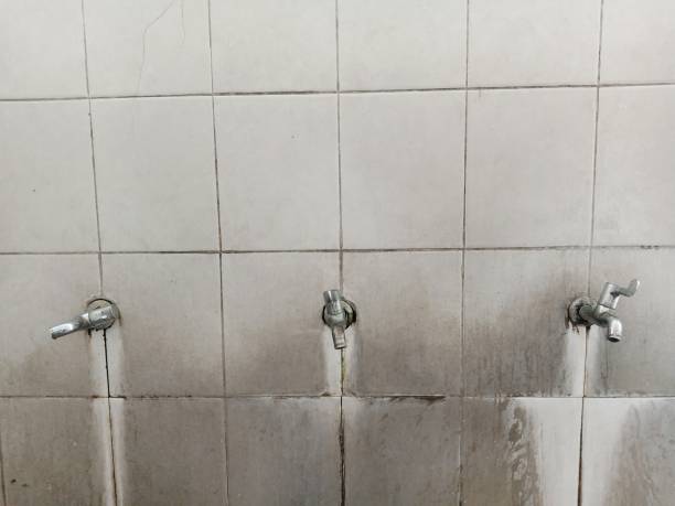 Best Water damage cleanup near me  in Dayton, OH