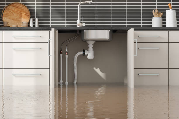 Best Flooded house restoration  in Dayton, OH