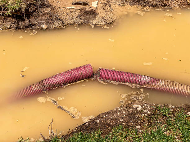 Best Water damage contractors near me  in Dayton, OH