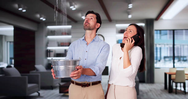 Best Professional water damage repair  in Dayton, OH