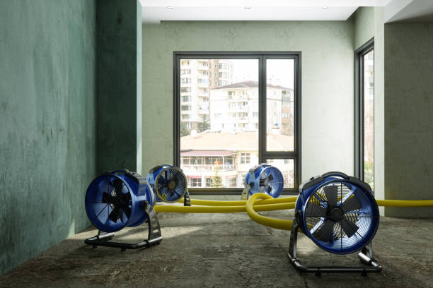 Best Basement water damage restoration  in Dayton, OH